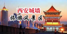 嗯,不要了,啊,小逼被日肿了,嗯,好粗视频中国陕西-西安城墙旅游风景区